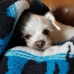 Meet your Posher, Marie